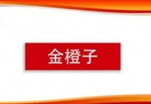 ǩų¯ ʱʲôʱ