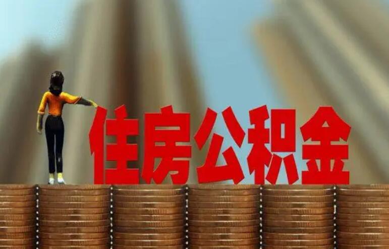 ĸֹ֧ 벻ôѡ